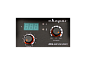 TECH ARC 205 B (Z203) Сварочный инвертор Svarog